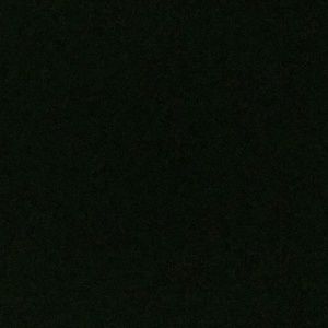 Meet your Posher, Remy